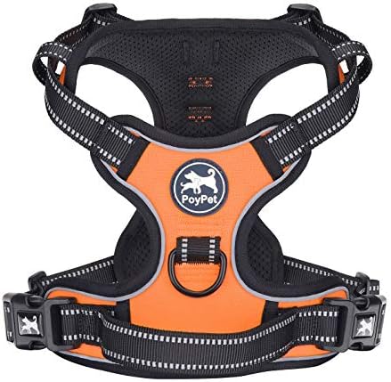 dog harness with handle