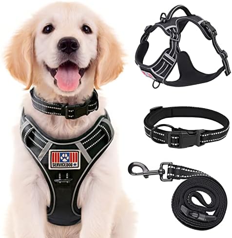 dog harness with handle