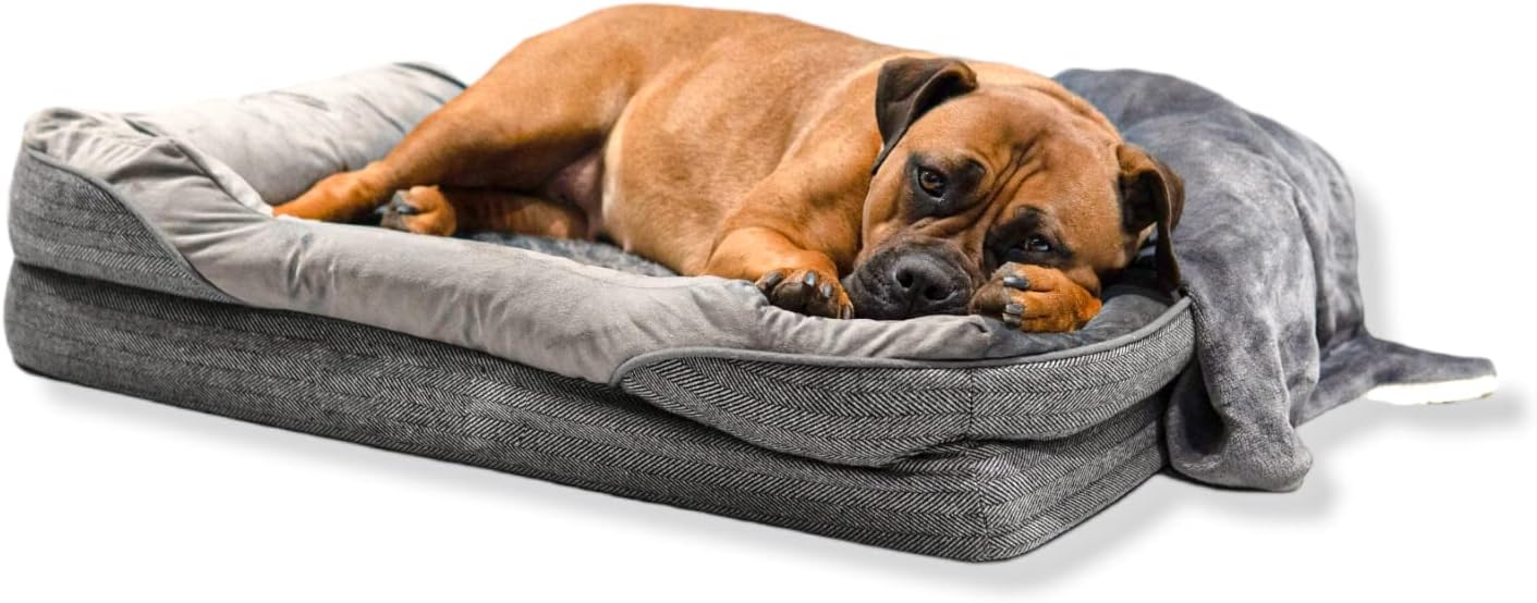 dog beds for large dogs