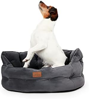 dog beds for large dogs