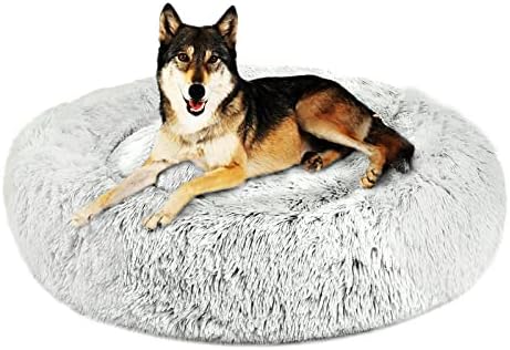 dog beds for large dogs