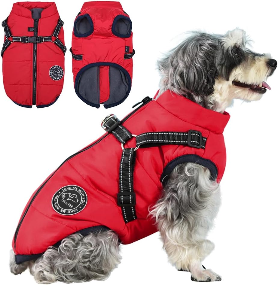 dog jackets for winter