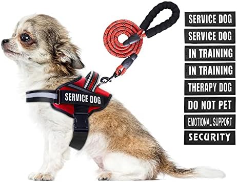 dog harness with handle