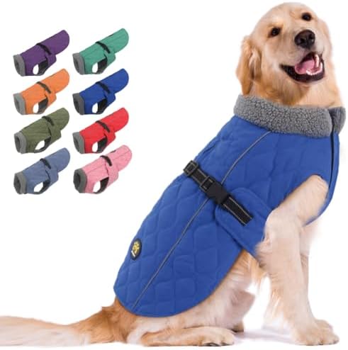 dog jackets for winter