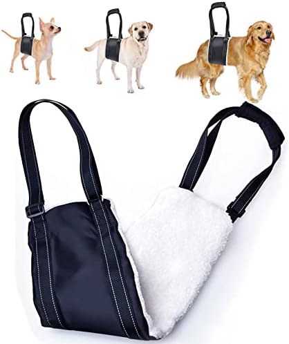 dog harness with handle