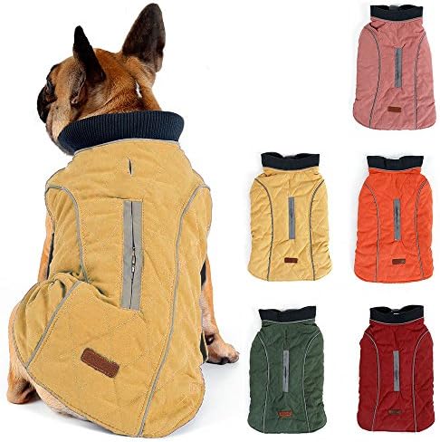 dog jackets for winter