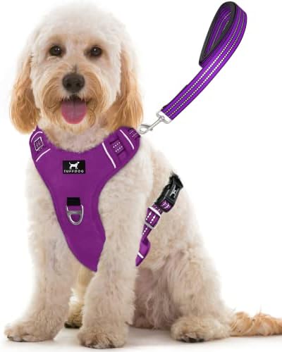 dog harness with handle