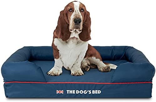 dog beds for large dogs