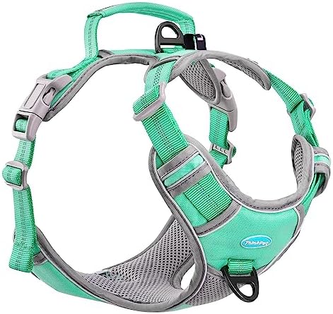 dog harness with handle