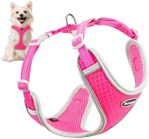 dog harness