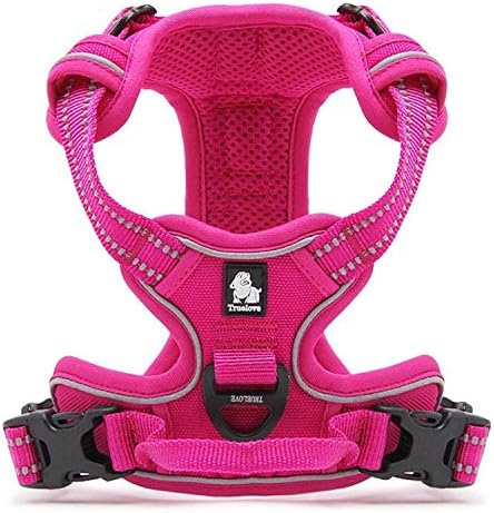 dog harness with handle