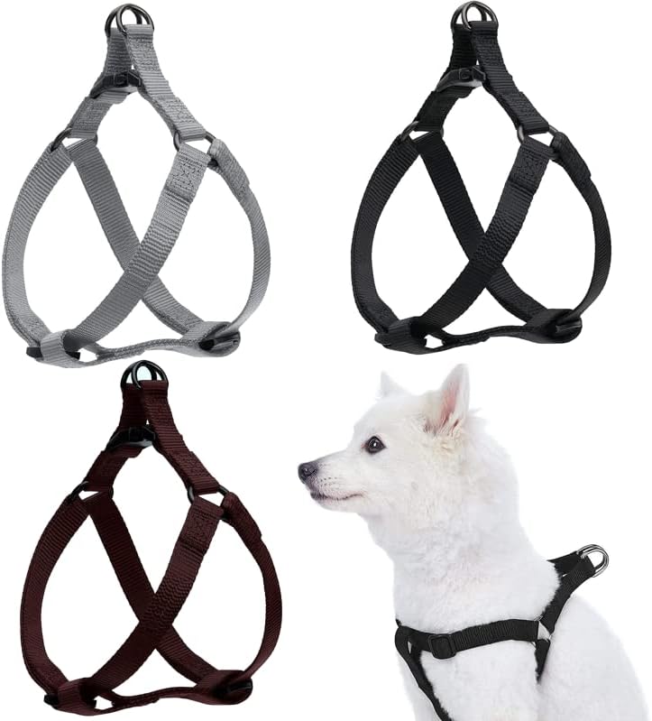 dog harness