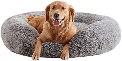 dog beds for large dogs