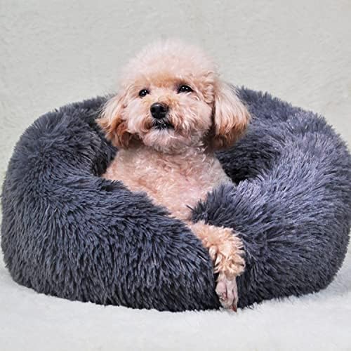 dog beds amazon