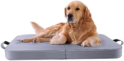 dog beds for large dogs