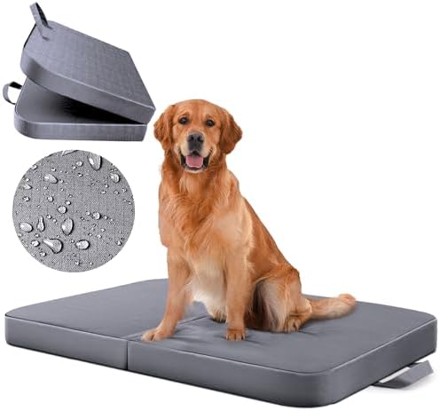 dog beds for large dogs