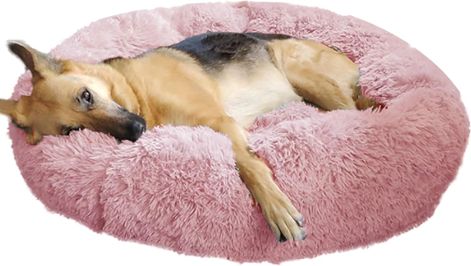 dog beds for large dogs