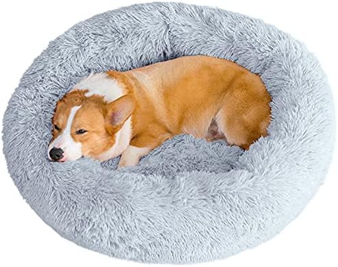 dog beds for large dogs