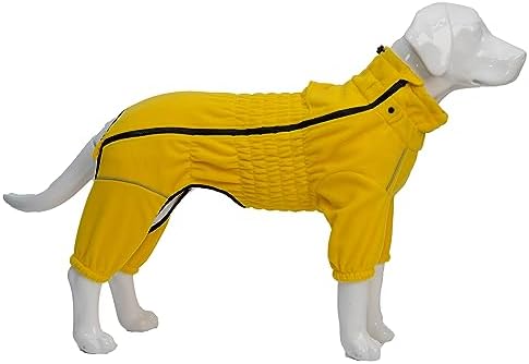 dog jackets for winter