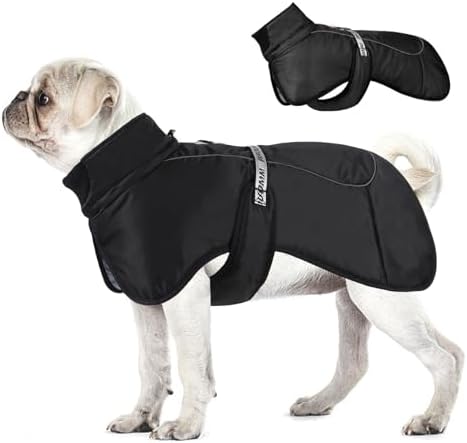 dog jackets for winter