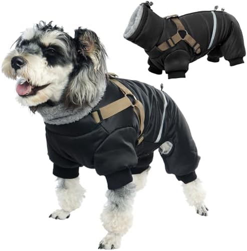 dog jackets for winter