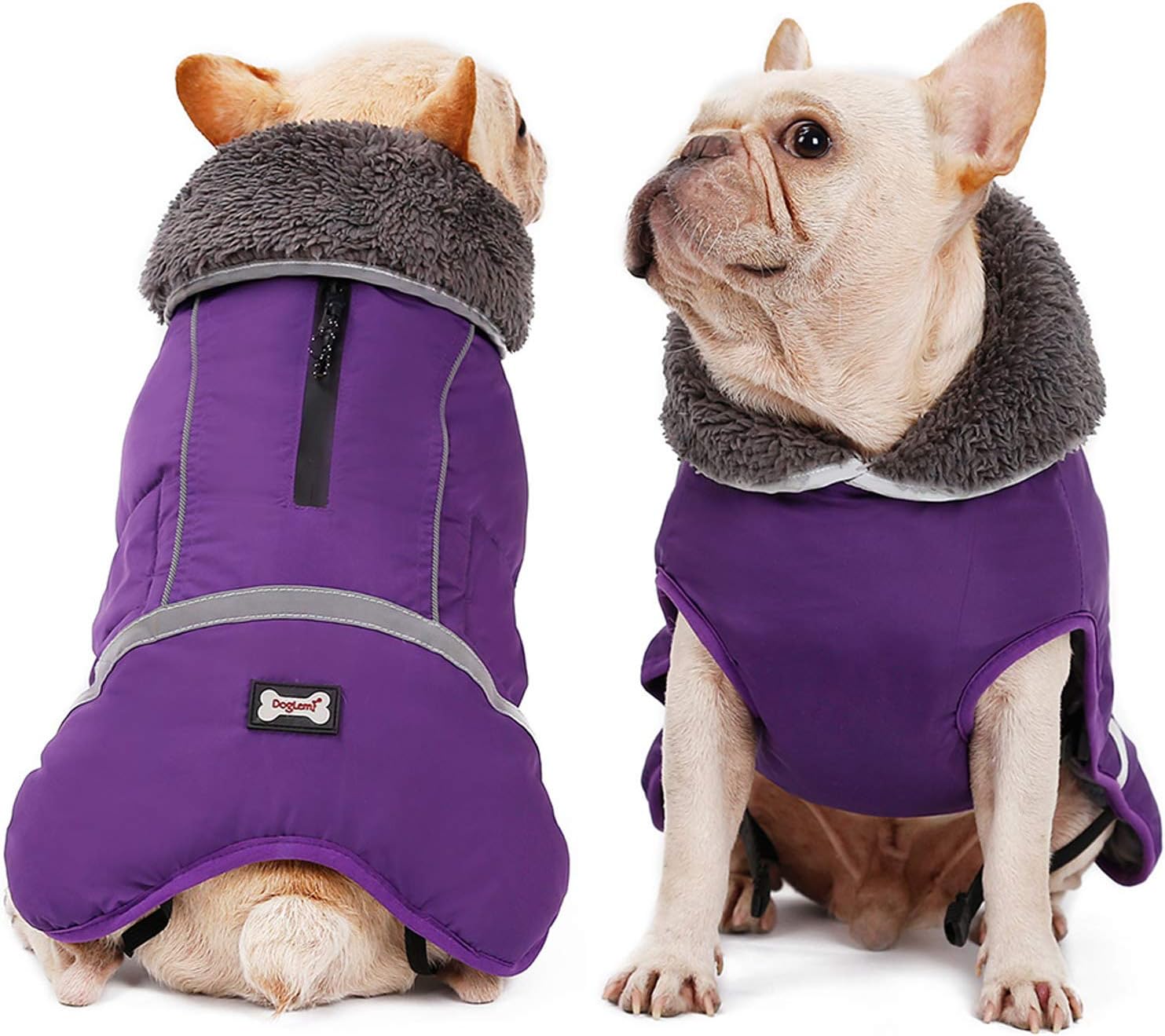 dog jackets for winter