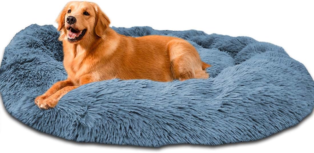 dog beds for large dogs