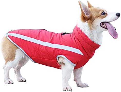 dog jackets for winter