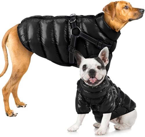 dog jackets for winter