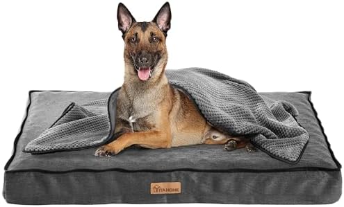 dog beds for large dogs