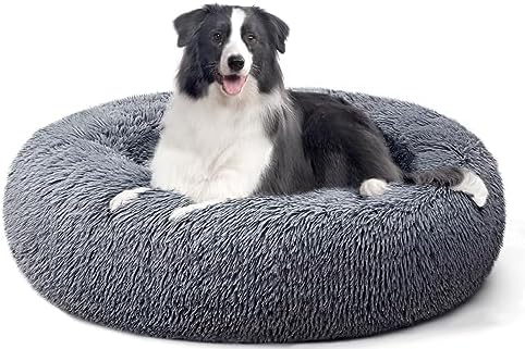 dog beds for large dogs