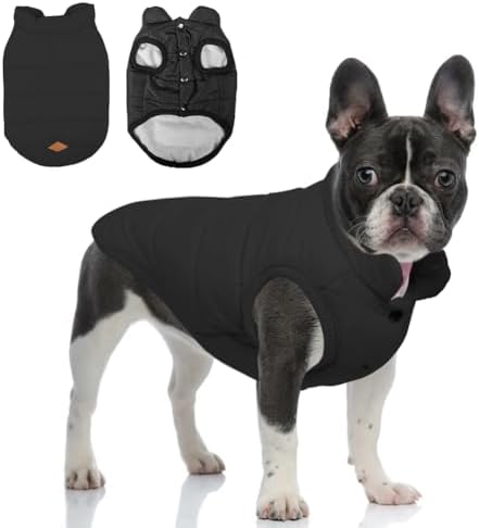 dog jackets for winter