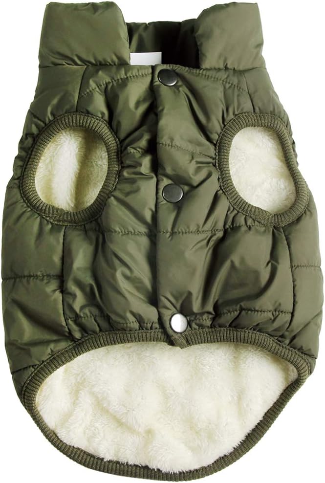 dog jackets for winter