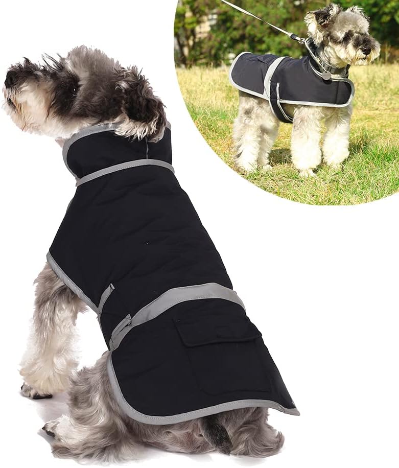 dog jackets waterproof