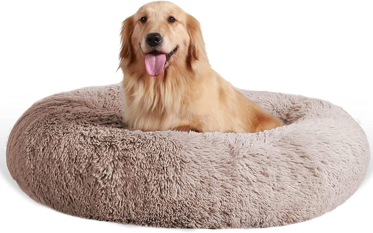 dog beds for large dogs