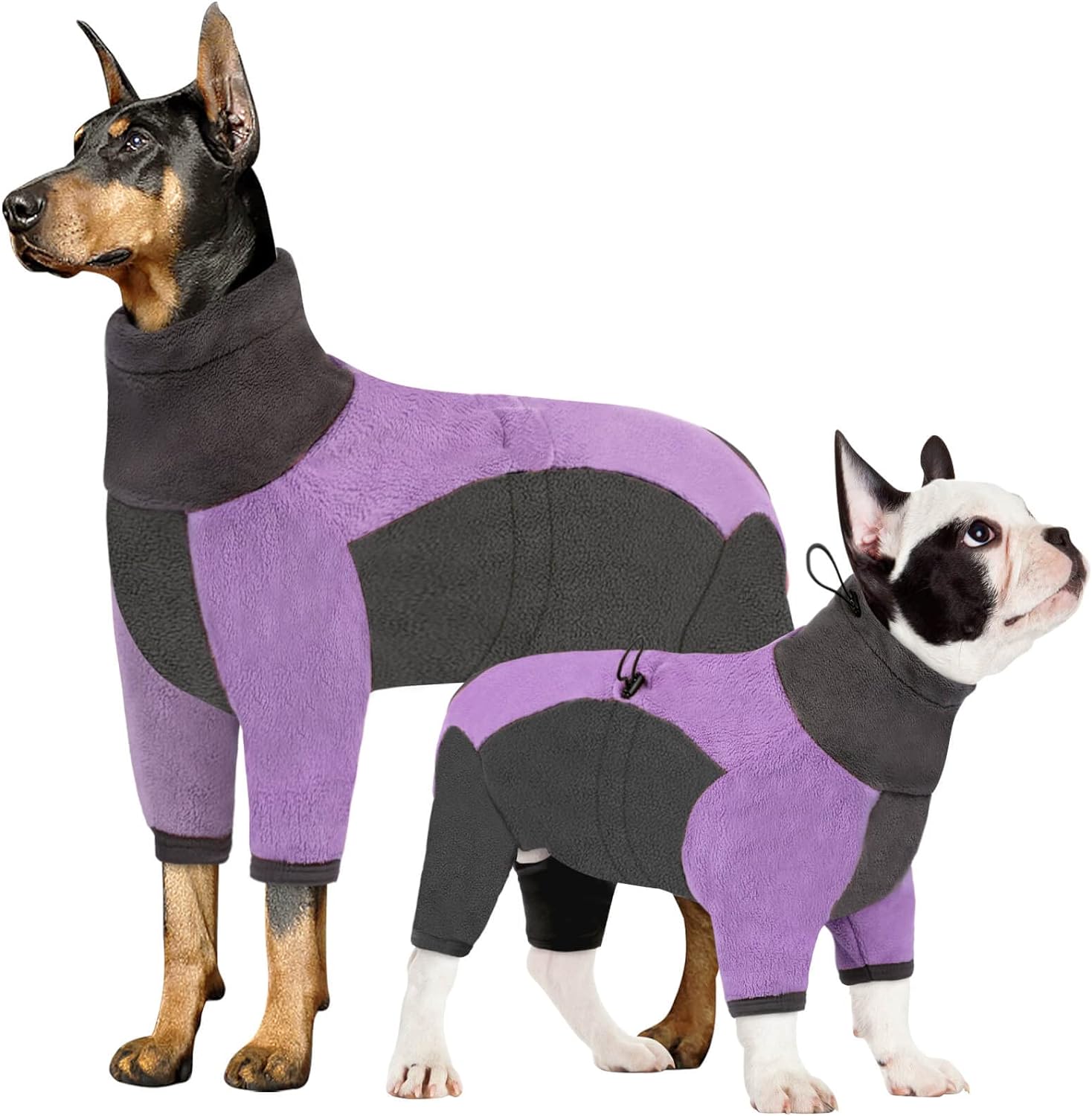 dog jackets for winter