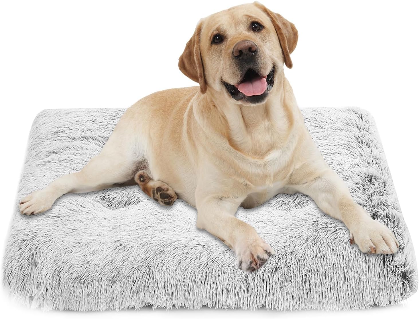 dog beds amazon