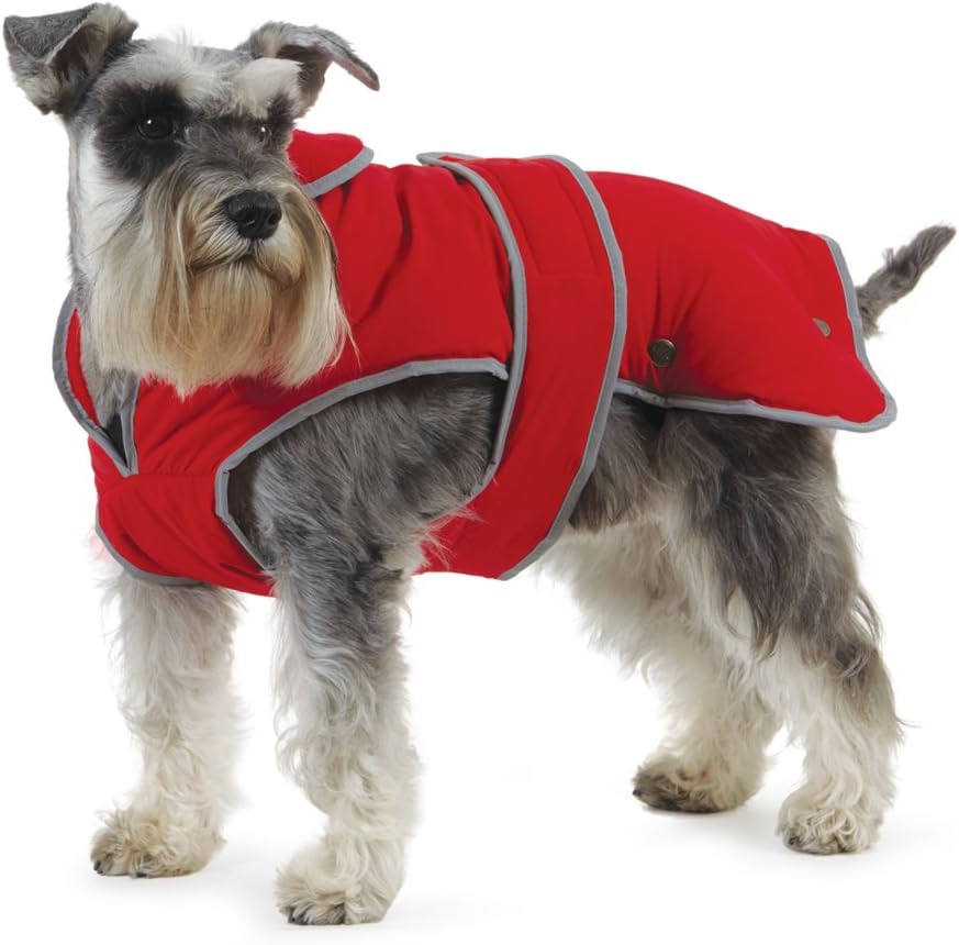 dog jackets waterproof