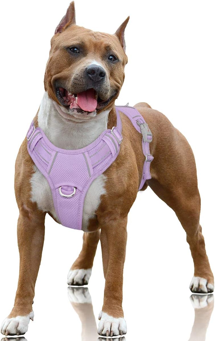 dog harness with handle