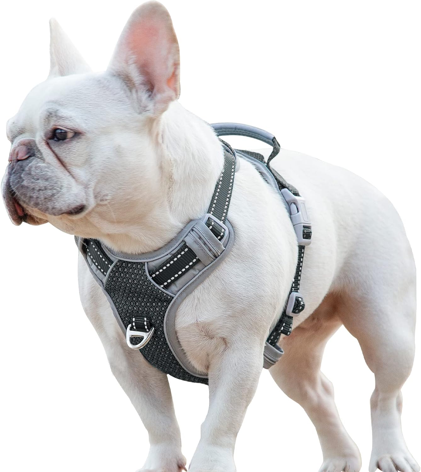 dog harness with handle