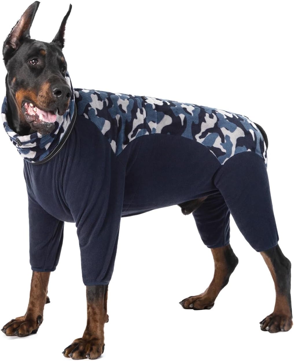 dog jackets for winter