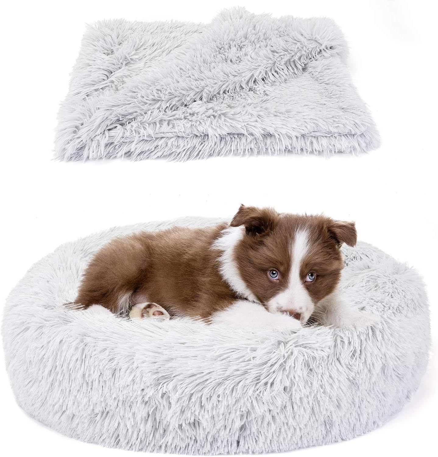 dog beds amazon