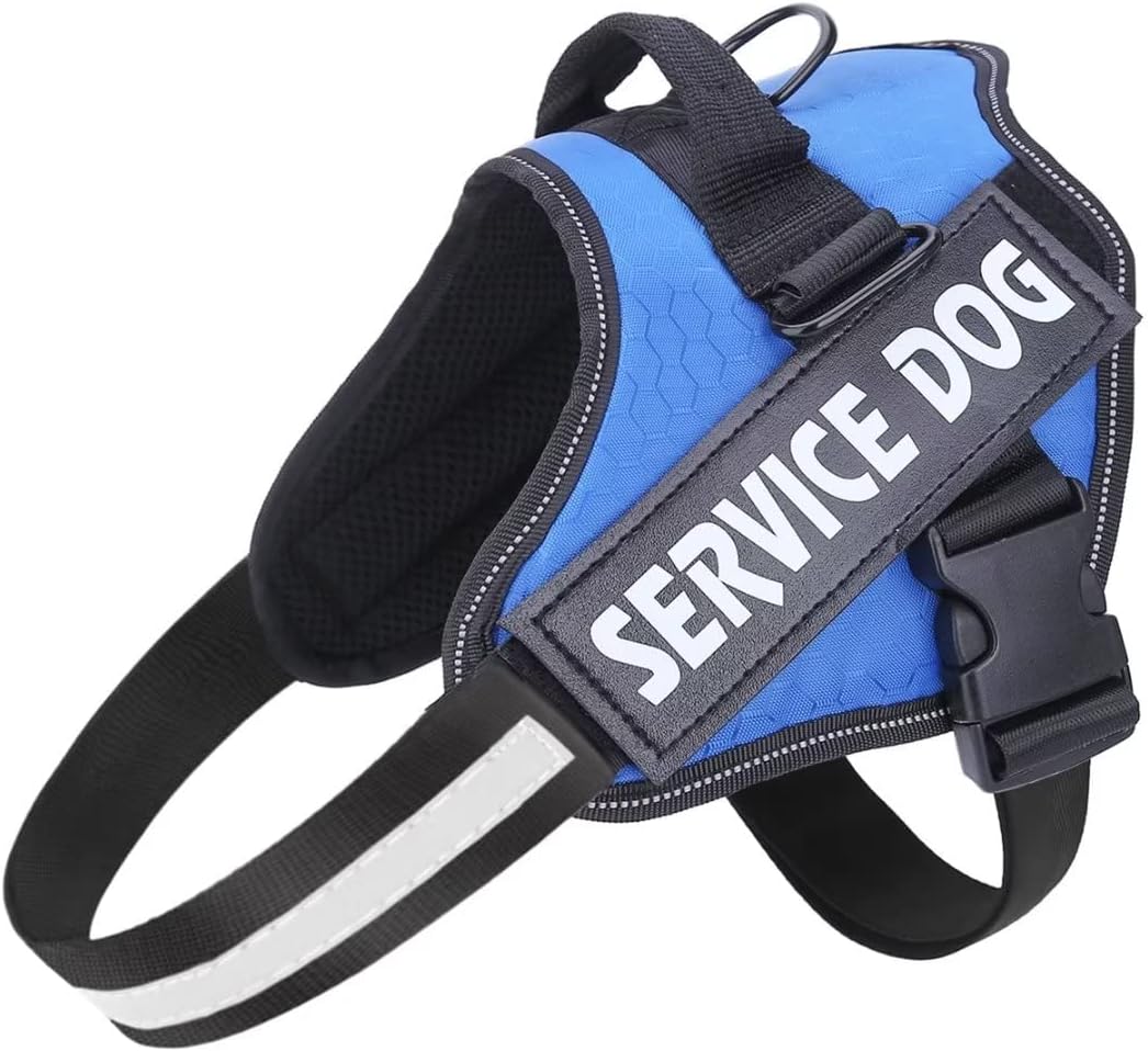 dog harness with name