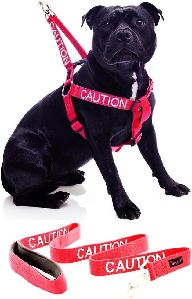 dog harness with handle