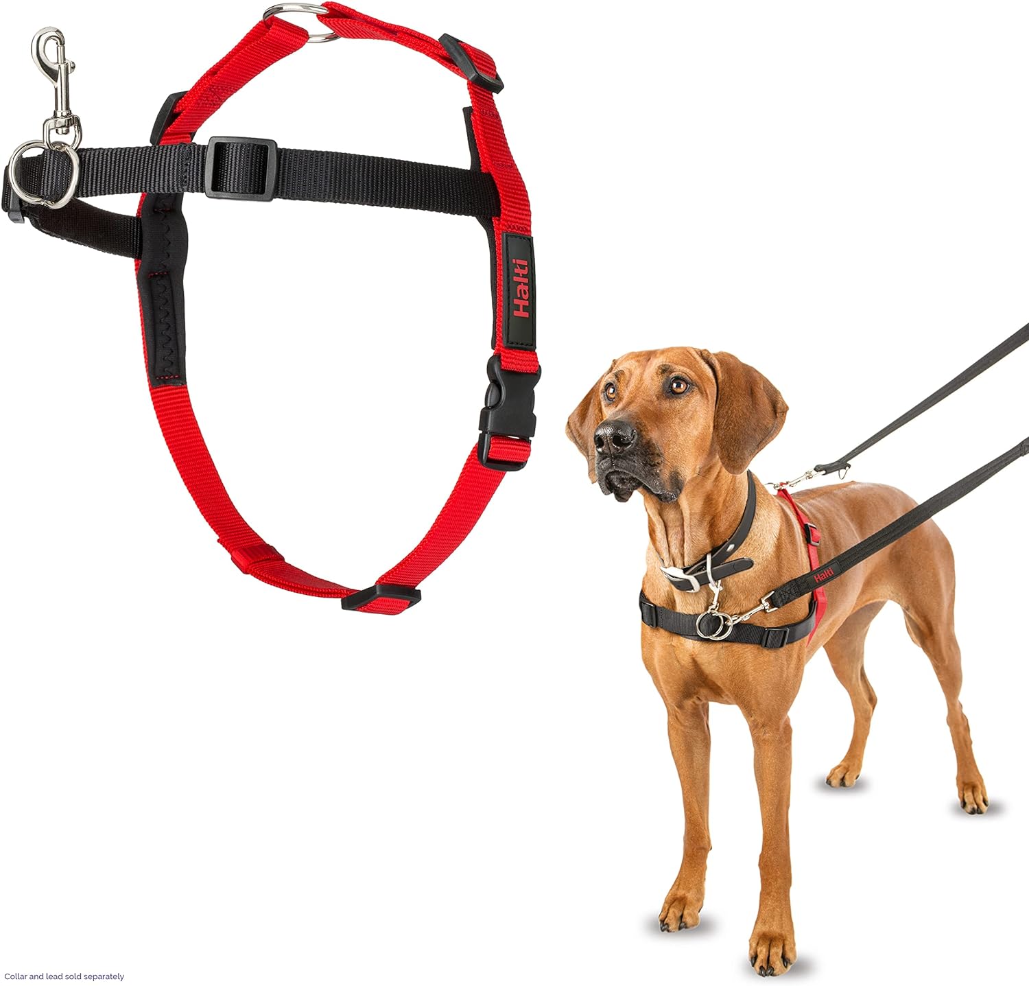 dog harness with handle