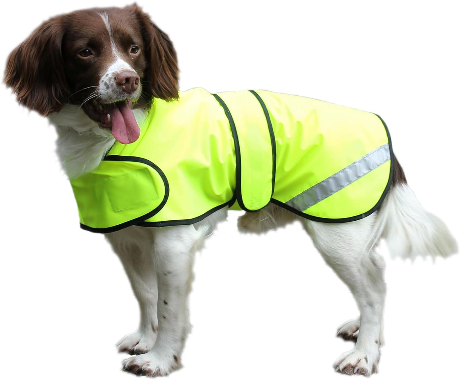 dog jackets waterproof