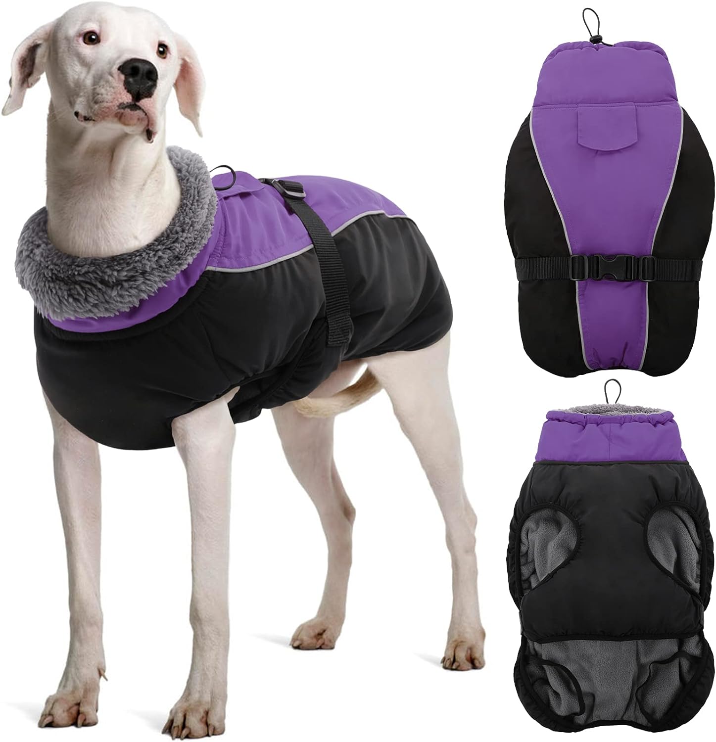 dog jackets for winter