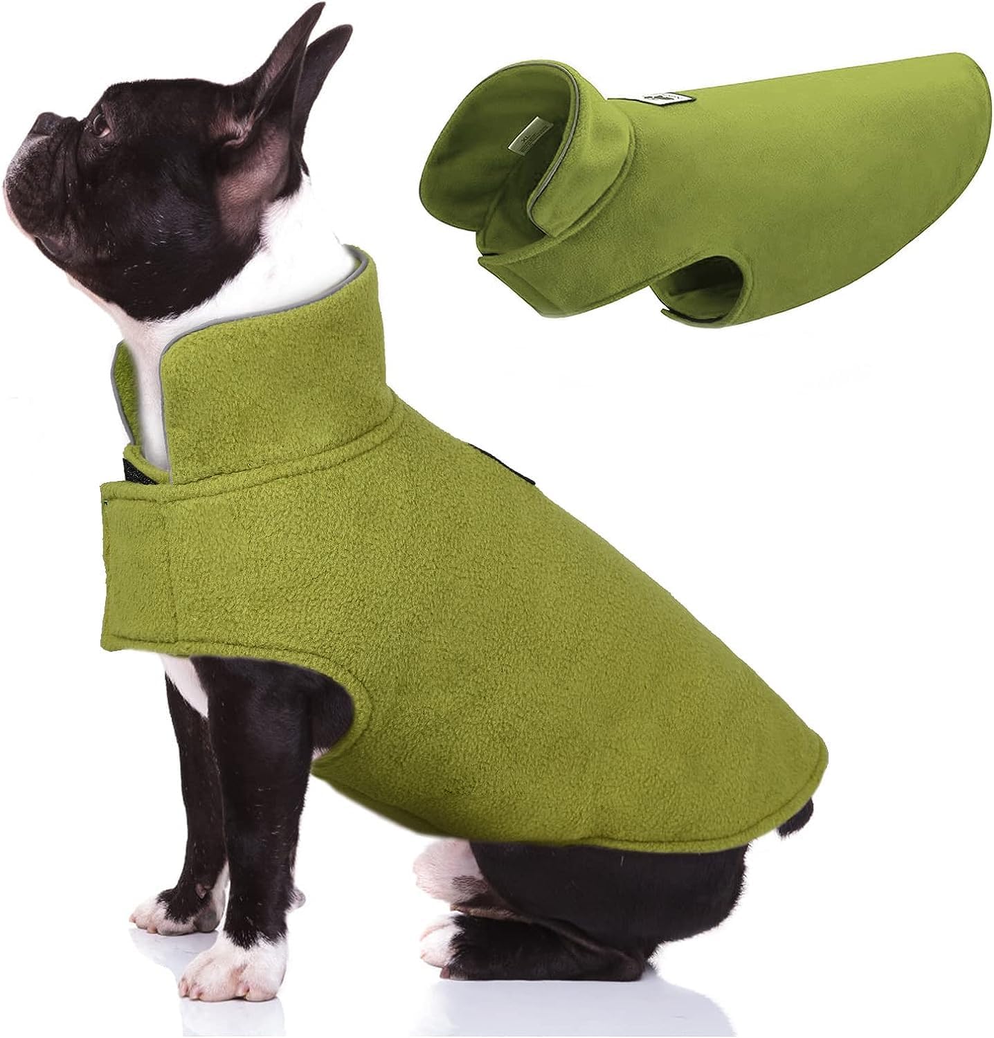 dog jackets for winter