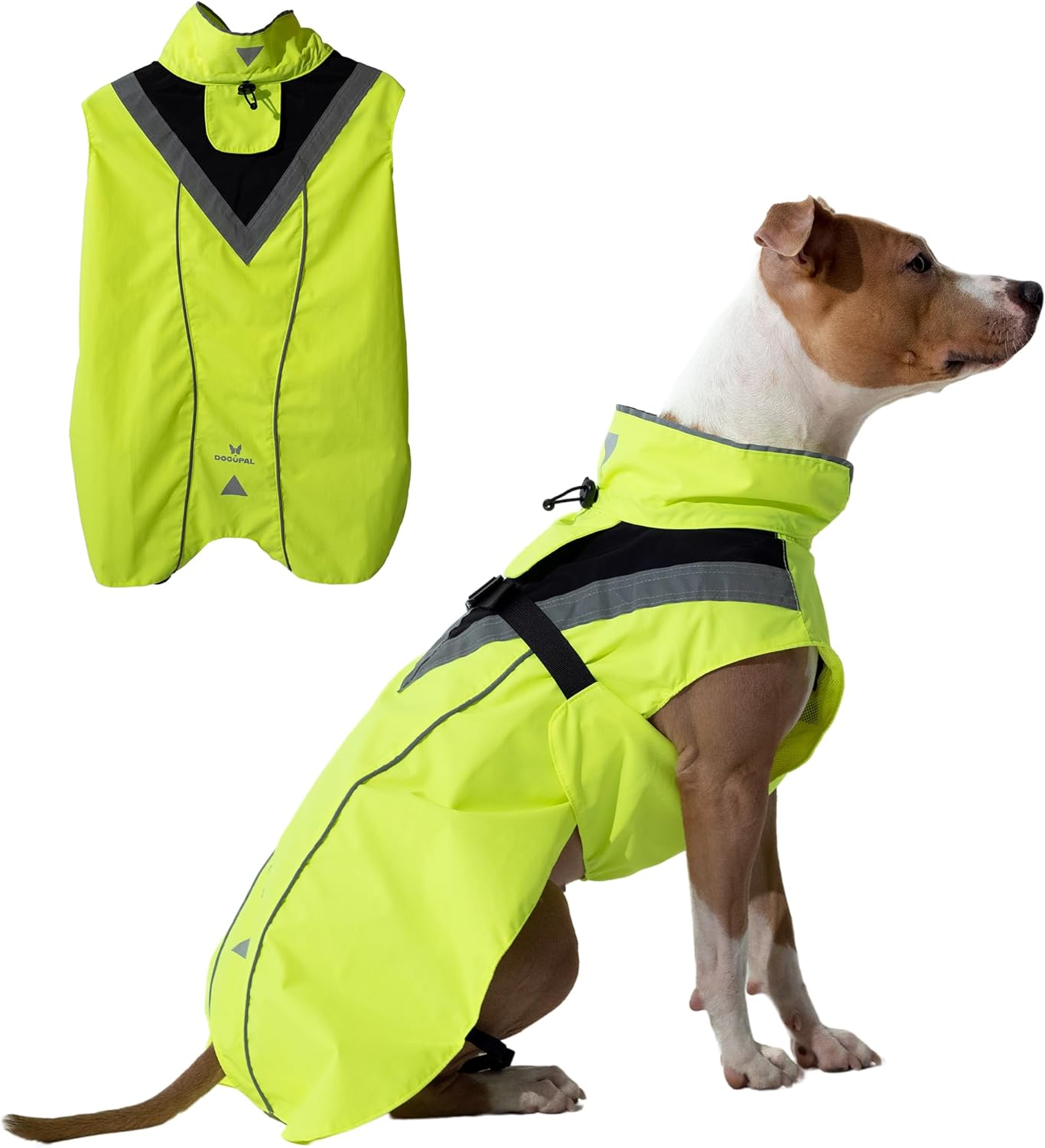 dog jackets waterproof