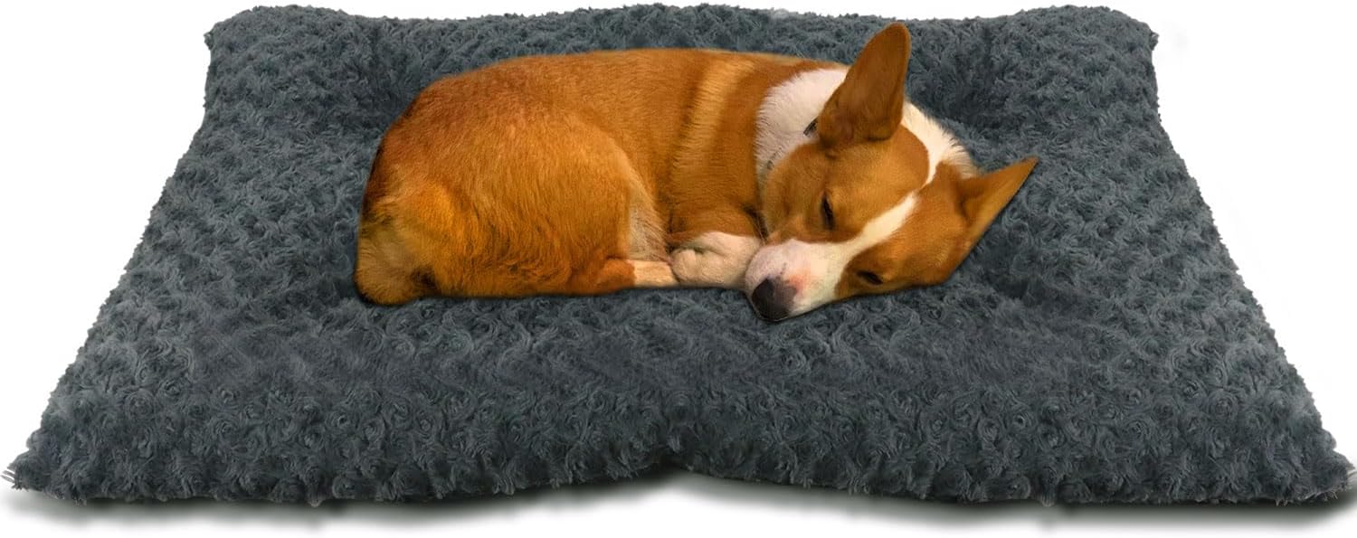 dog beds for large dogs